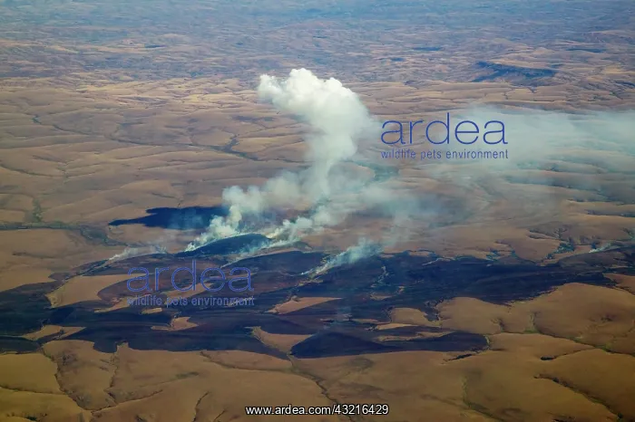 : Aerial view of land below, Madagascar : Aerial view of land below, Madagascar