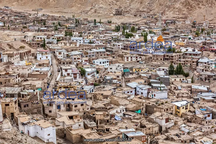  : Aerial view of Leh city the capital of Ladah region