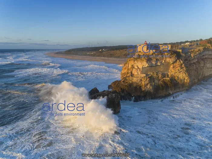 : Aerial view of lighthouse on a cliff with a fortress on the : Aerial view of lighthouse on a cliff with a fortress on the