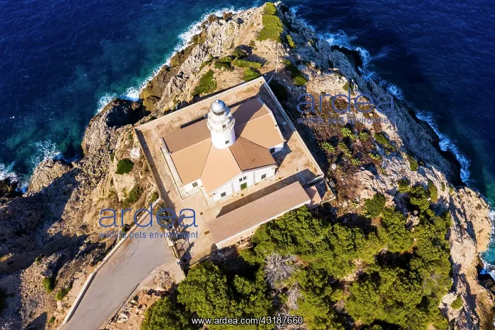 : Aerial view, Lighthouse Far de Capdepera with cliffs : Aerial view, Lighthouse Far de Capdepera with cliffs