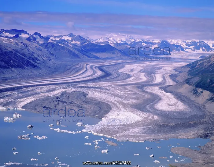 : Aerial view Lowell Glacier, Kluane National : Aerial view Lowell Glacier, Kluane National