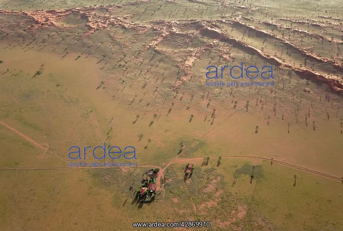 : Aerial view of the main building of the exclusive : Aerial view of the main building of the exclusive