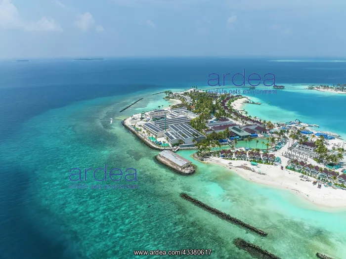 : Aerial View, Maldives, North Male Atoll, newly built : Aerial View, Maldives, North Male Atoll, newly built