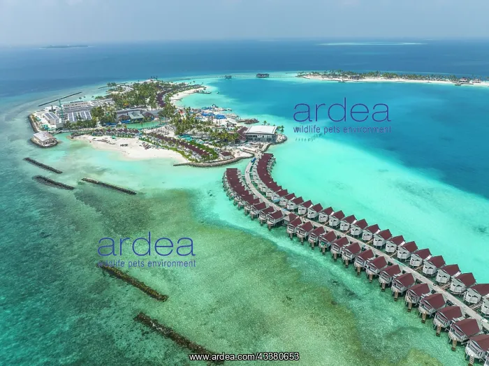 : Aerial View, Maldives, North Male Atoll, newly built : Aerial View, Maldives, North Male Atoll, newly built