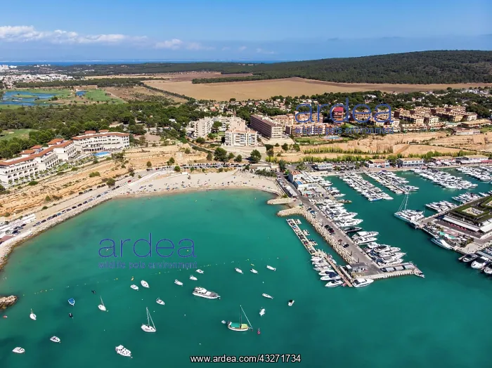: Aerial view, marina Port Adriano, El Toro, region : Aerial view, marina Port Adriano, El Toro, region