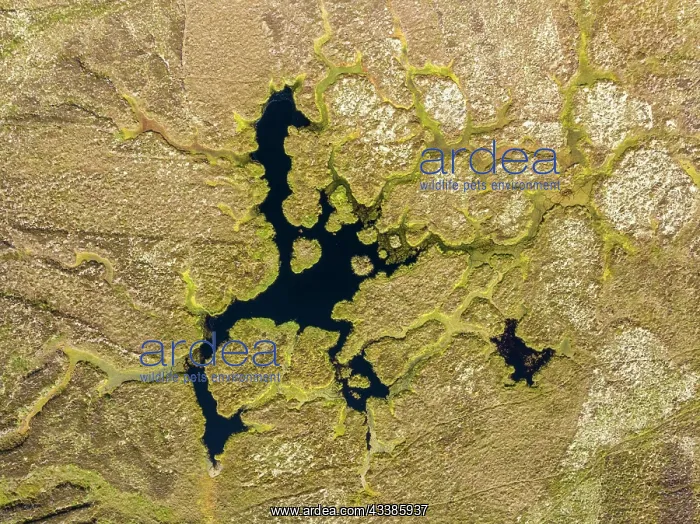 : Aerial view of a marshland on the north-east coast o : Aerial view of a marshland on the north-east coast o