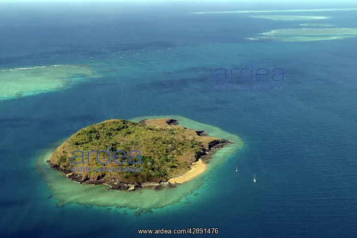  : Aerial view of Mayotte, Comoros Islands