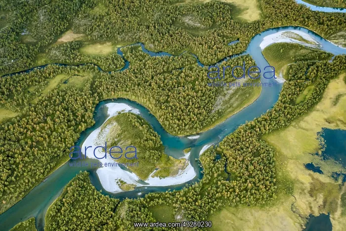 : Aerial view, meandering river landscape in the Rapa : Aerial view, meandering river landscape in the Rapa