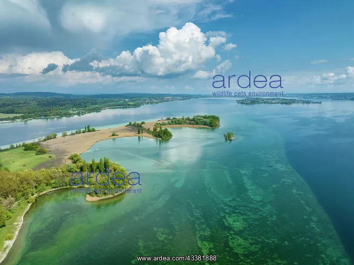 : Aerial view of the Mettnau peninsula near Radolfzell : Aerial view of the Mettnau peninsula near Radolfzell