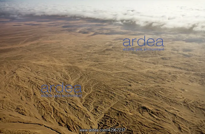 : Aerial view of mist rolling in from the cold Atlantic : Aerial view of mist rolling in from the cold Atlantic