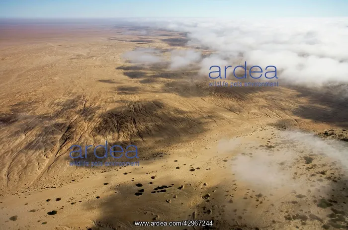 : Aerial view of mist rolling in from the cold Atlantic : Aerial view of mist rolling in from the cold Atlantic