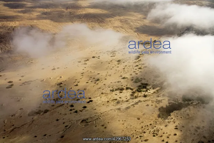 : Aerial view of mist rolling in from the cold Atlantic : Aerial view of mist rolling in from the cold Atlantic