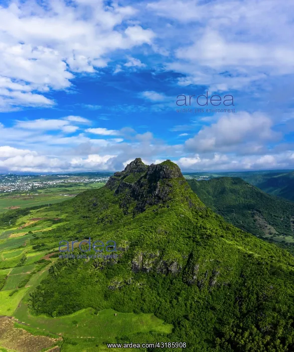 : Aerial view of Mont du Rempart with Trois Mamelles : Aerial view of Mont du Rempart with Trois Mamelles