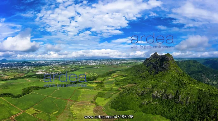 : Aerial view of Mont du Rempart with Trois Mamelles : Aerial view of Mont du Rempart with Trois Mamelles