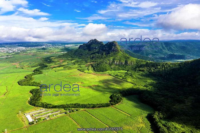 : Aerial view of Mont du Rempart with Trois Mamelles : Aerial view of Mont du Rempart with Trois Mamelles