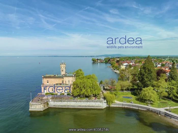 : Aerial view of Montfort Castle on the shore of Lake : Aerial view of Montfort Castle on the shore of Lake