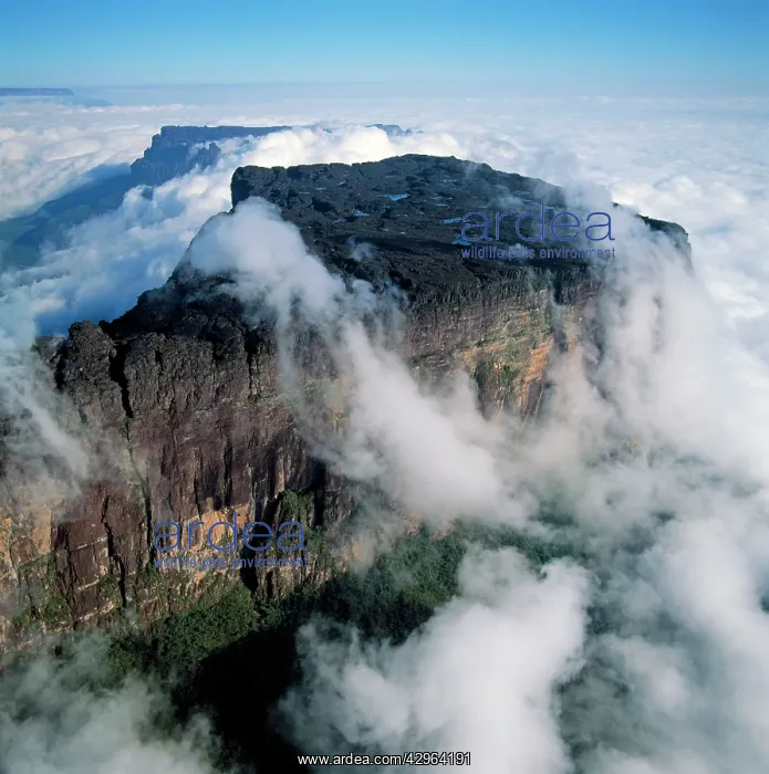 : Aerial View of Mount Kukenaam (Kukenan, Kukenan, Cuguenan) : Aerial View of Mount Kukenaam (Kukenan, Kukenan, Cuguenan)