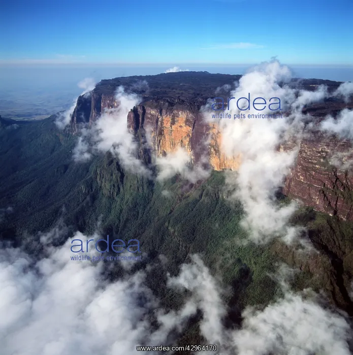 : Aerial view of Mount Kukenaam (Kukenan, Kukenan : Aerial view of Mount Kukenaam (Kukenan, Kukenan