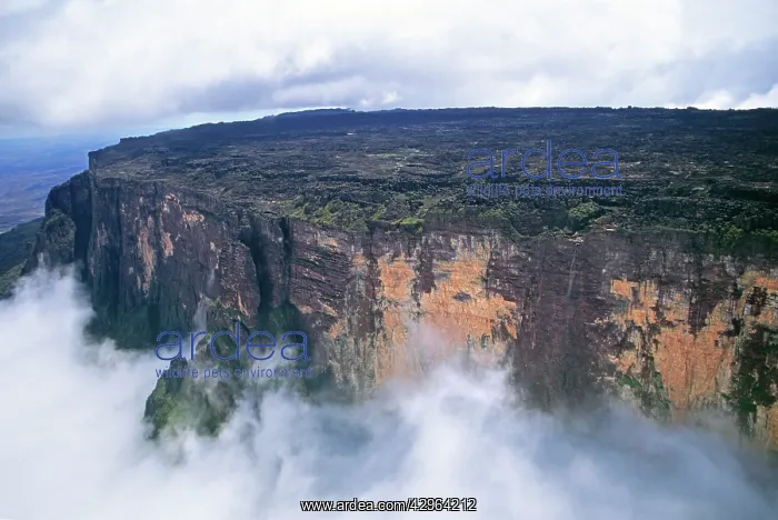 : Aerial view of Mount Kukenaam (Kukenin, Kukenan, Cuguenan) : Aerial view of Mount Kukenaam (Kukenin, Kukenan, Cuguenan)