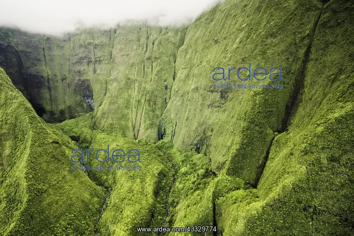 : Aerial view Mount Wai'ale'ale, Kauai, Hawaii, US : Aerial view Mount Wai'ale'ale, Kauai, Hawaii, US