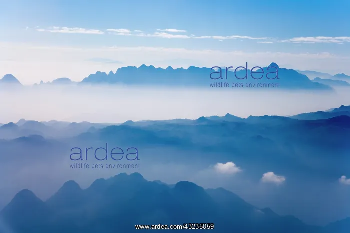 : Aerial view of mountain layers : Aerial view of mountain layers