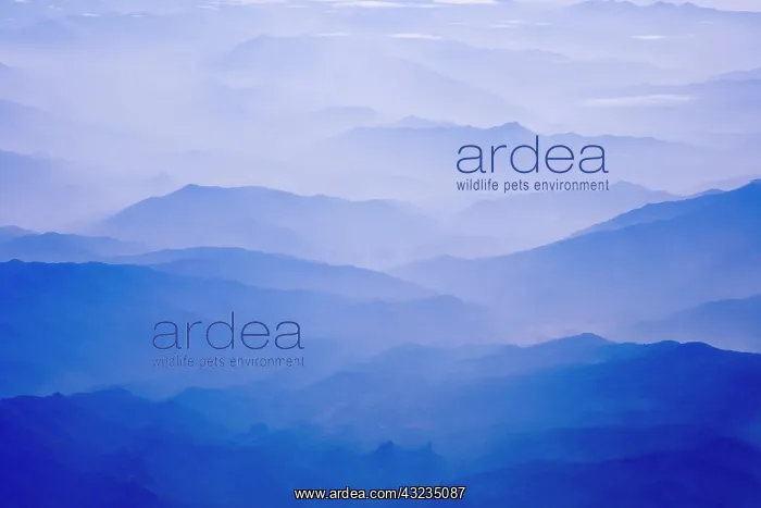: Aerial view of mountain layers : Aerial view of mountain layers