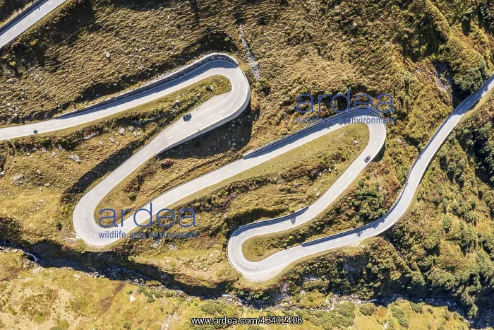 : Aerial view of mountain road Nufenenpass, Switzerland : Aerial view of mountain road Nufenenpass, Switzerland