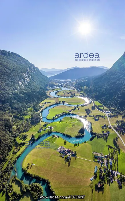 : Aerial view, mountain valley with meandering river : Aerial view, mountain valley with meandering river