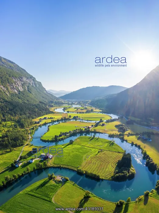 : Aerial view, mountain valley with meandering river : Aerial view, mountain valley with meandering river