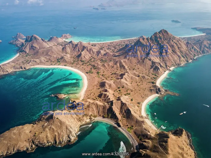 : Aerial view, mountainous island, tropical beaches : Aerial view, mountainous island, tropical beaches