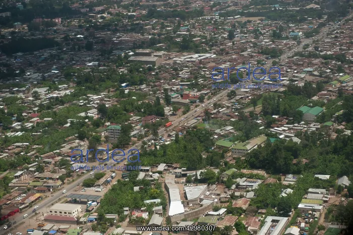 : Aerial view - Ndutu to Arusha : Aerial view - Ndutu to Arusha