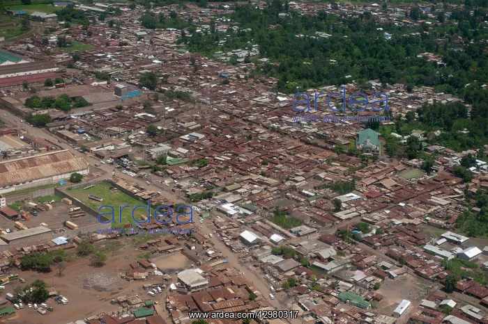: Aerial view - Ndutu to Arusha : Aerial view - Ndutu to Arusha