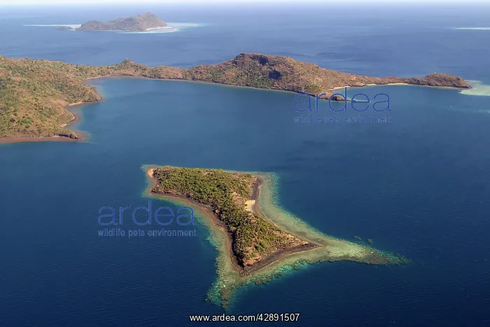  : Aerial view of North Mayotte, Comoros Islands