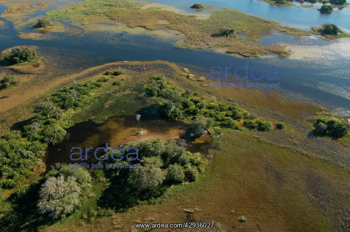 : Aerial view of Okavango Delta : Aerial view of Okavango Delta