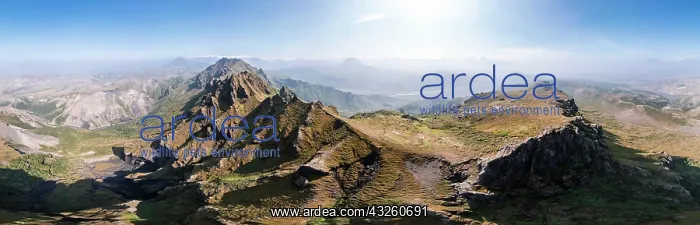 : Aerial view, panorama, jagged mountains, wild nature : Aerial view, panorama, jagged mountains, wild nature