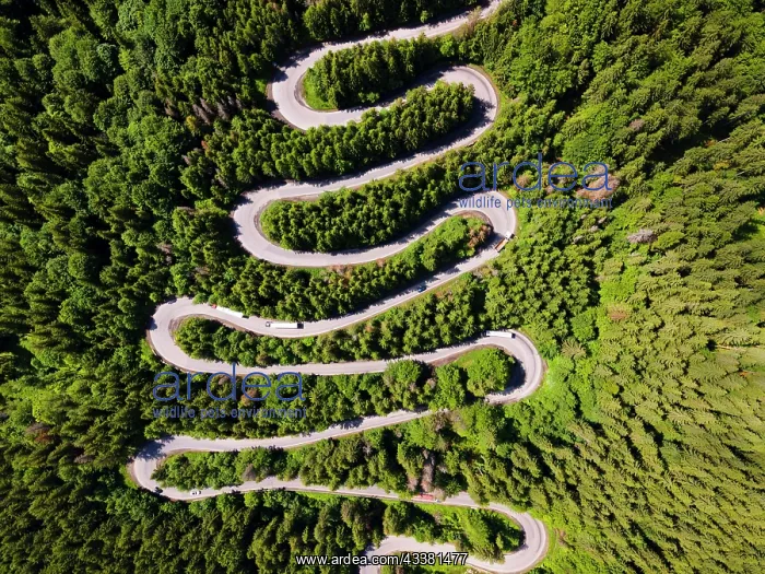 : Aerial view, pass road, Bratocea Pass, Carpathians : Aerial view, pass road, Bratocea Pass, Carpathians