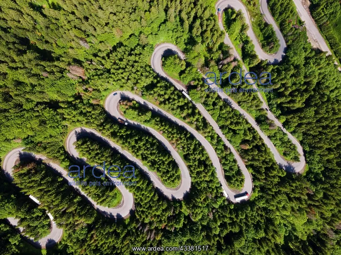: Aerial view, pass road, Bratocea Pass, Carpathians : Aerial view, pass road, Bratocea Pass, Carpathians
