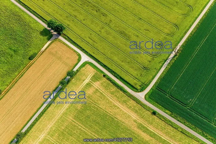  : Aerial view, paths through green and harvested fields