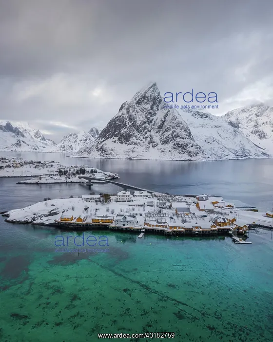 : Aerial view, place Hamnoy in winter, Reinefjord : Aerial view, place Hamnoy in winter, Reinefjord
