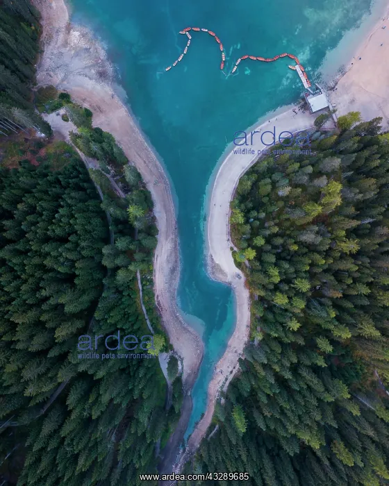 : Aerial view, pointed part of the Pragser Wildsee : Aerial view, pointed part of the Pragser Wildsee