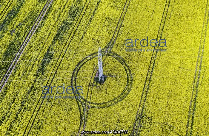 : Aerial view of power line with power lines in a : Aerial view of power line with power lines in a