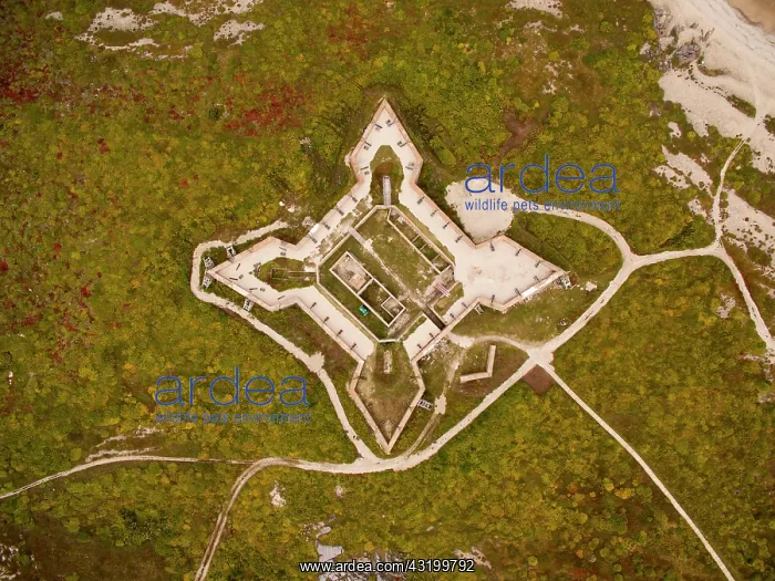 : Aerial view of Prince of Wales Fort along coast : Aerial view of Prince of Wales Fort along coast