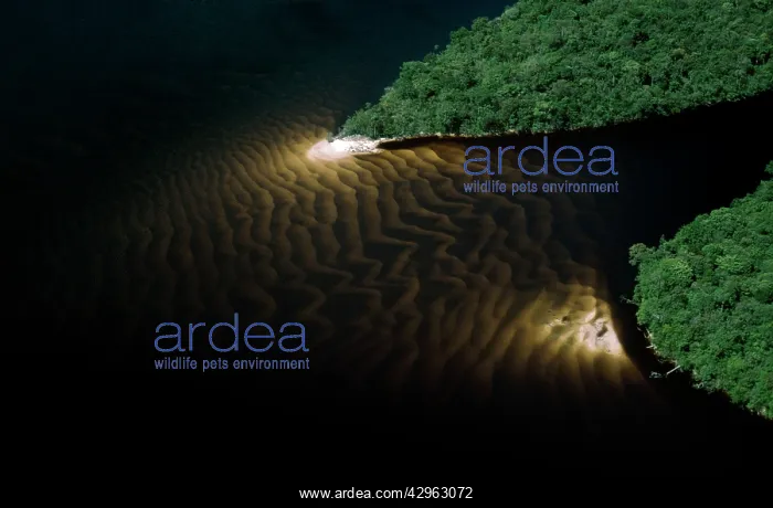  : Aerial view of Rain Forest, Caroni River with sandbars