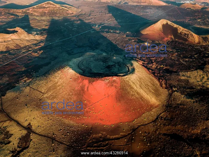 : Aerial view, red volcano Montana Colorada with volcano : Aerial view, red volcano Montana Colorada with volcano