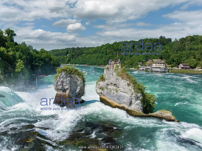 : Aerial view of the Rhine Falls, with tourists on : Aerial view of the Rhine Falls, with tourists on