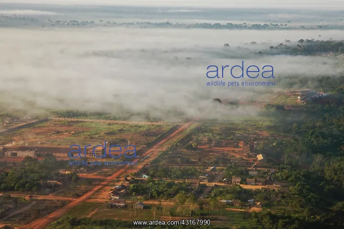 : Aerial view of Riberalta through the fog : Aerial view of Riberalta through the fog