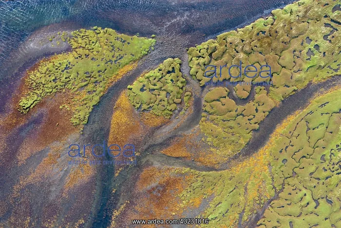 : Aerial view, river course and banks, low tide, Isle : Aerial view, river course and banks, low tide, Isle