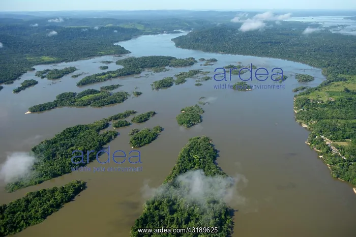  : Aerial view, river landscape, small islands in the