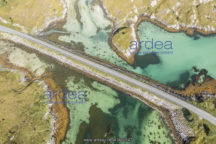 : Aerial view of road on a dam connecting islands : Aerial view of road on a dam connecting islands