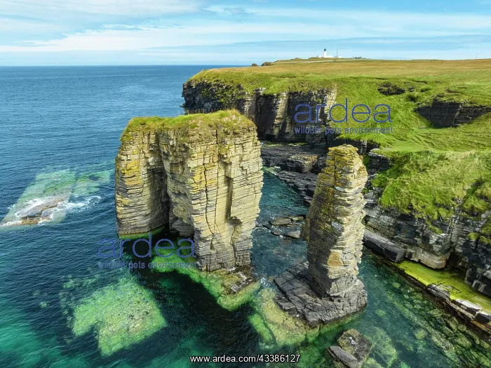: Aerial view of rock towers, surf pillars on the N : Aerial view of rock towers, surf pillars on the N